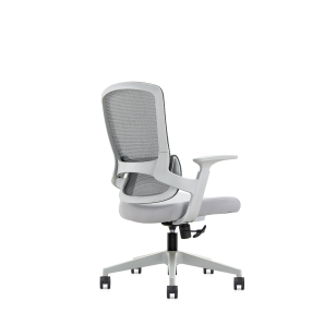 人體工程學行政老闆辦公椅AS-6246B